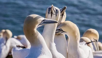 开云体育app-蒯曼获队内选拔赛冠军 锁定伦敦世乒赛参赛资格